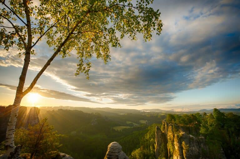 Sachsen will Gastgewerbe nach Waldbränden unterstützen